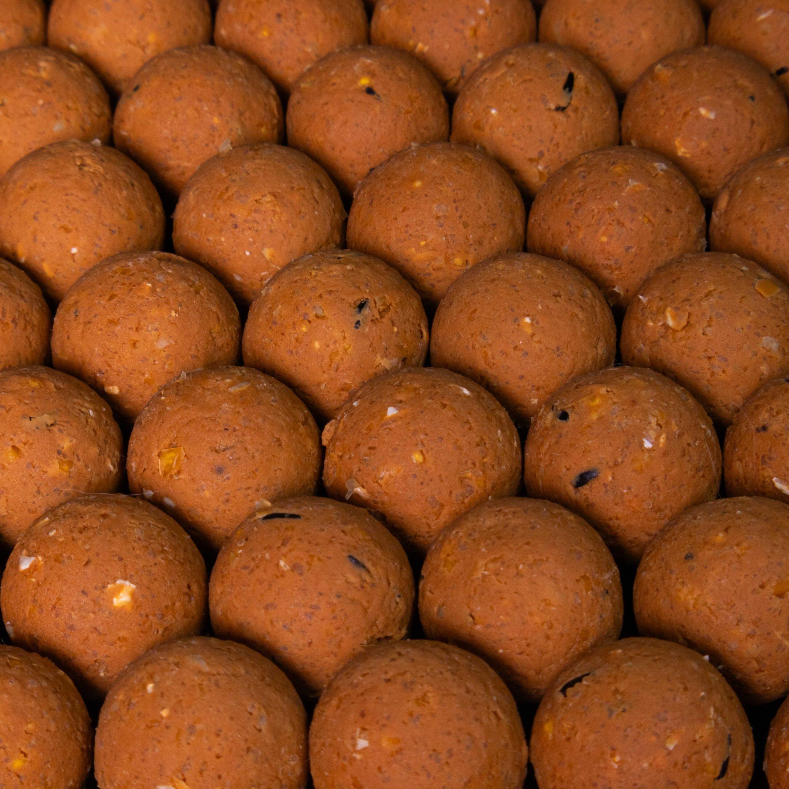 baltyminiai kukuliai karpių žvejybai šokolado skonio